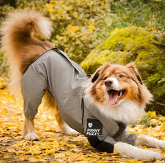 Prime waterdichte hondenregenjas